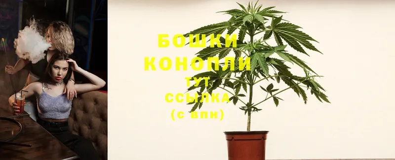 Марихуана SATIVA & INDICA  Киров 